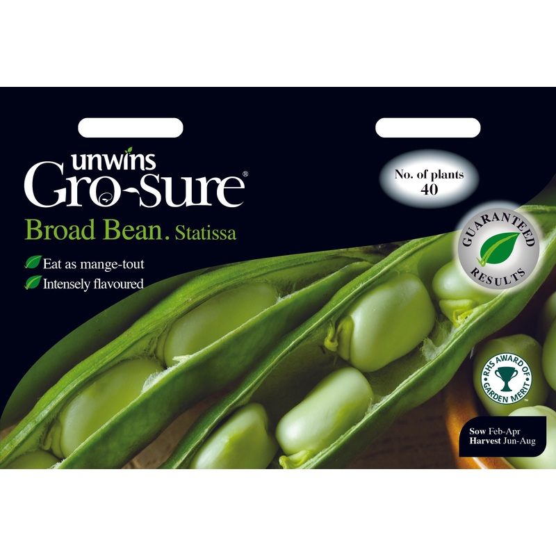 Broad Bean Statissa