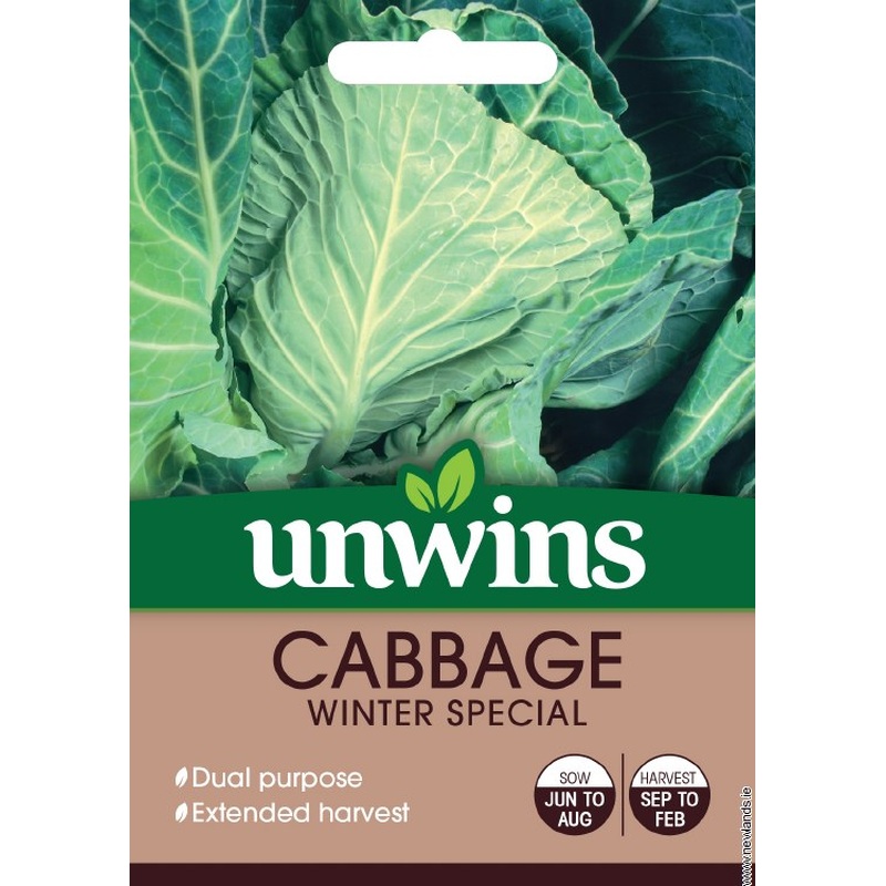 Cabbage (Spring Greens) Winter Green