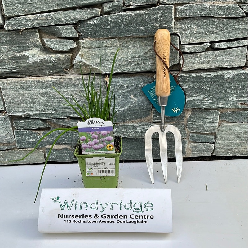 Chives 9cm