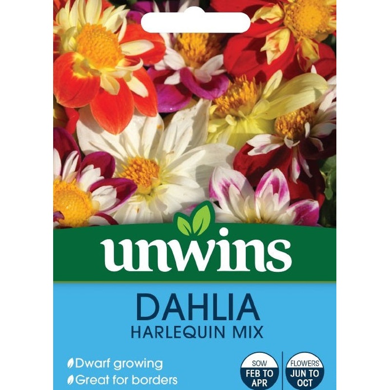 Dahlia Harlequin Mix