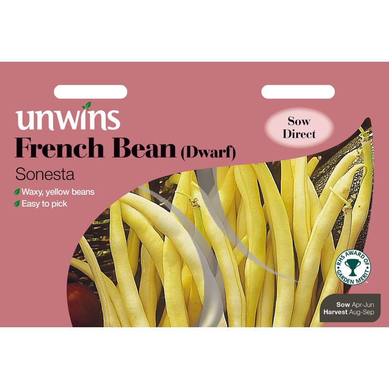 French Bean (Dwarf) Sonesta