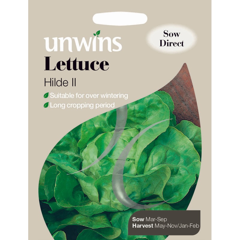 Lettuce Hilde II