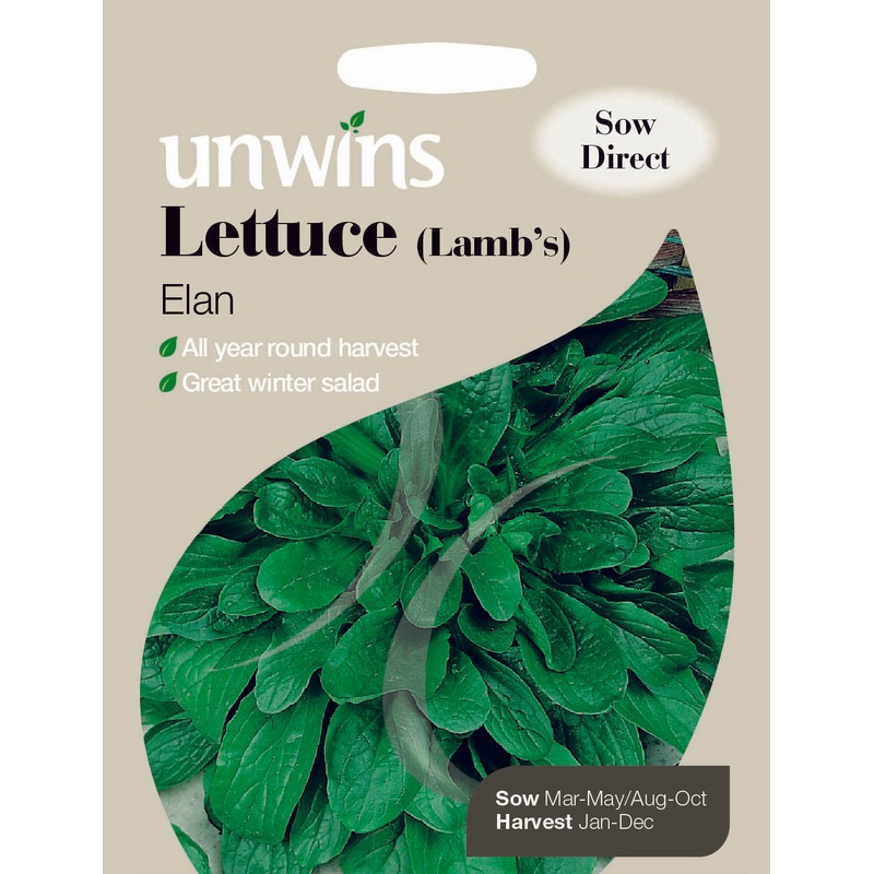 Lettuce (Lamb s) Elan