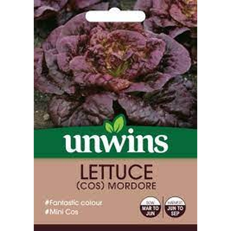 Lettuce Mordore