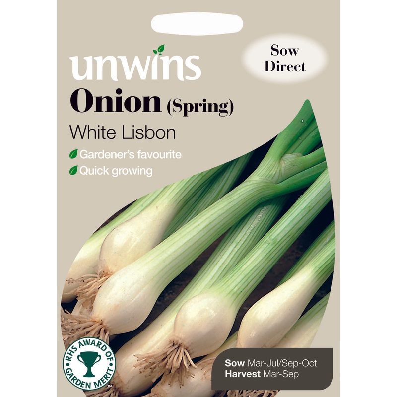 Onion Spring White Lisbon