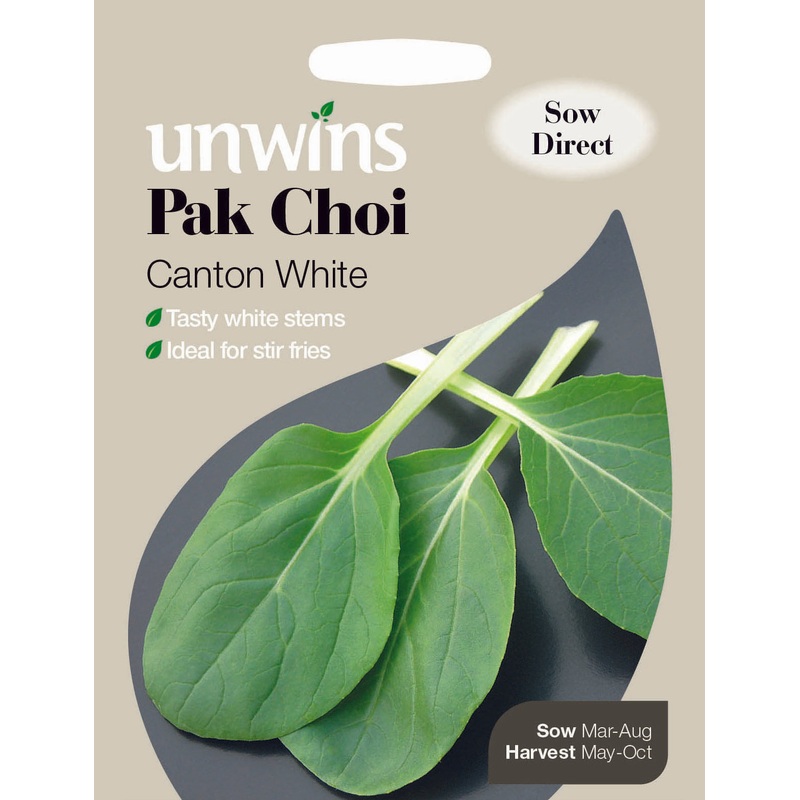 Pak Choi Canton White