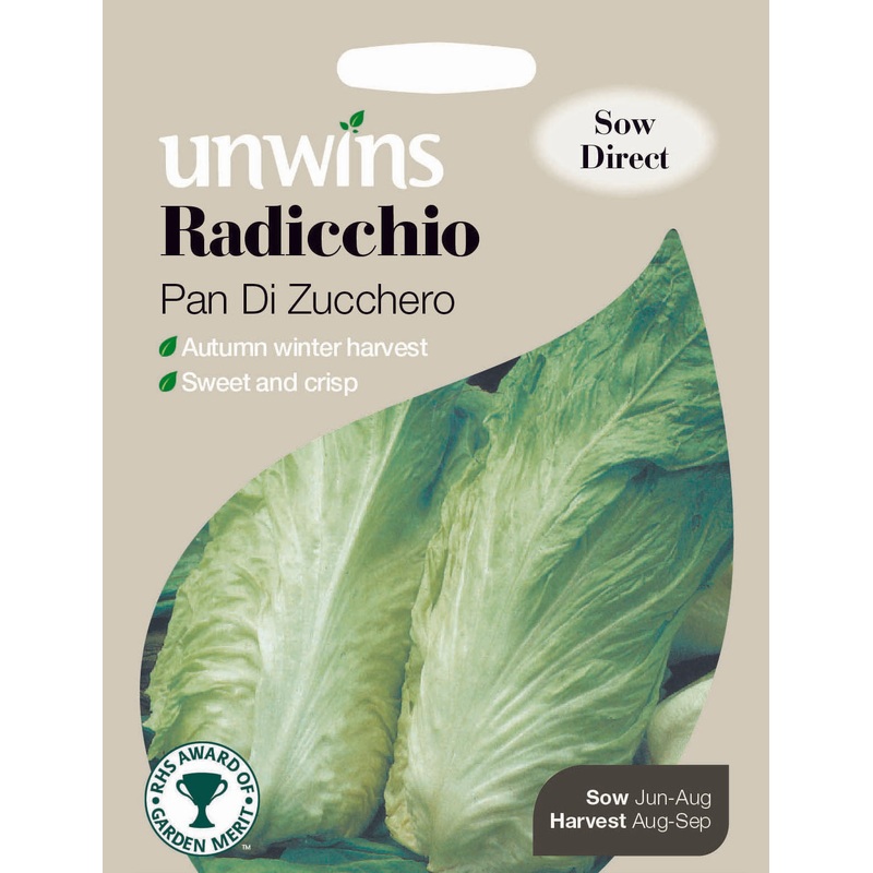 Radicchio Pan Di Zucchero