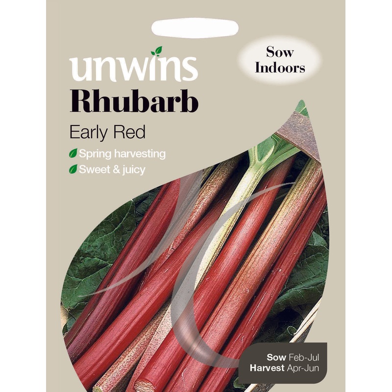 Rhubarb Early Red