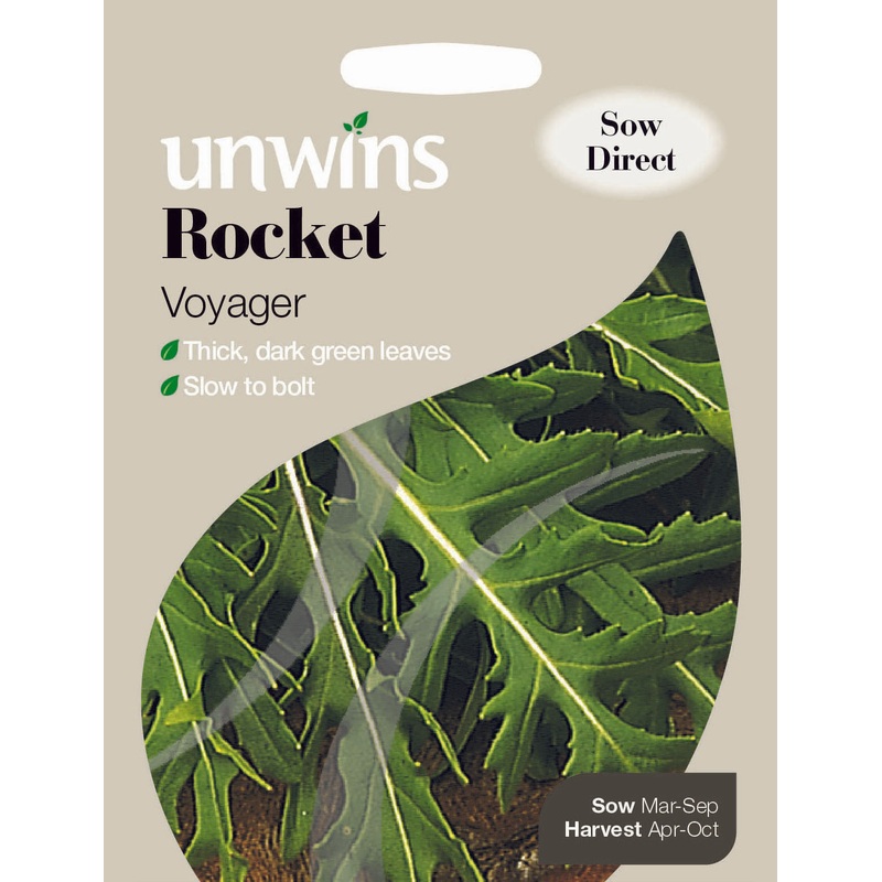 Rocket Voyager