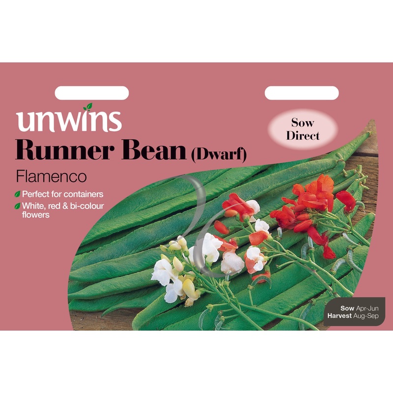Runner Bean (Dwarf) Flamenco