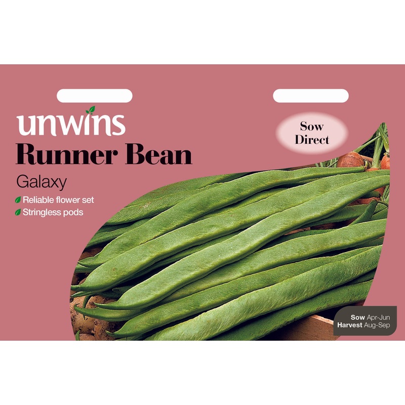 Runner Bean Galaxy