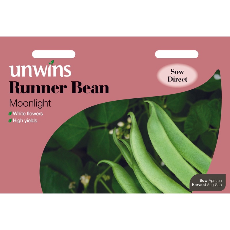 Runner Bean Moonlight