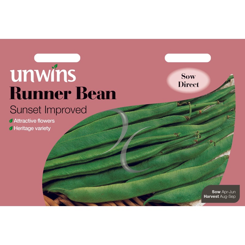 Runner Bean Sunset Improved