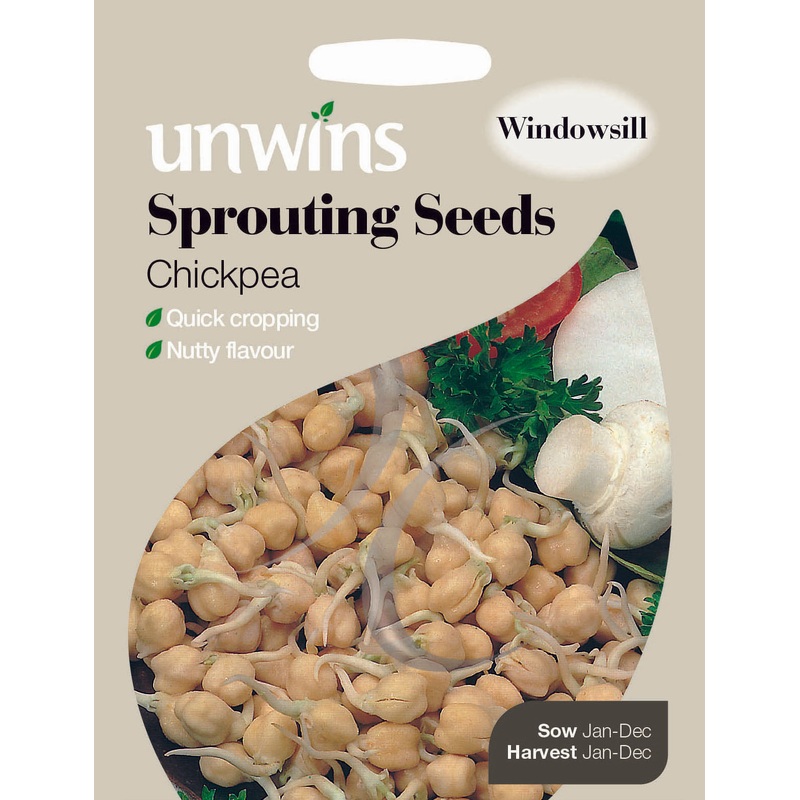Sprouting Seeds Chickpea