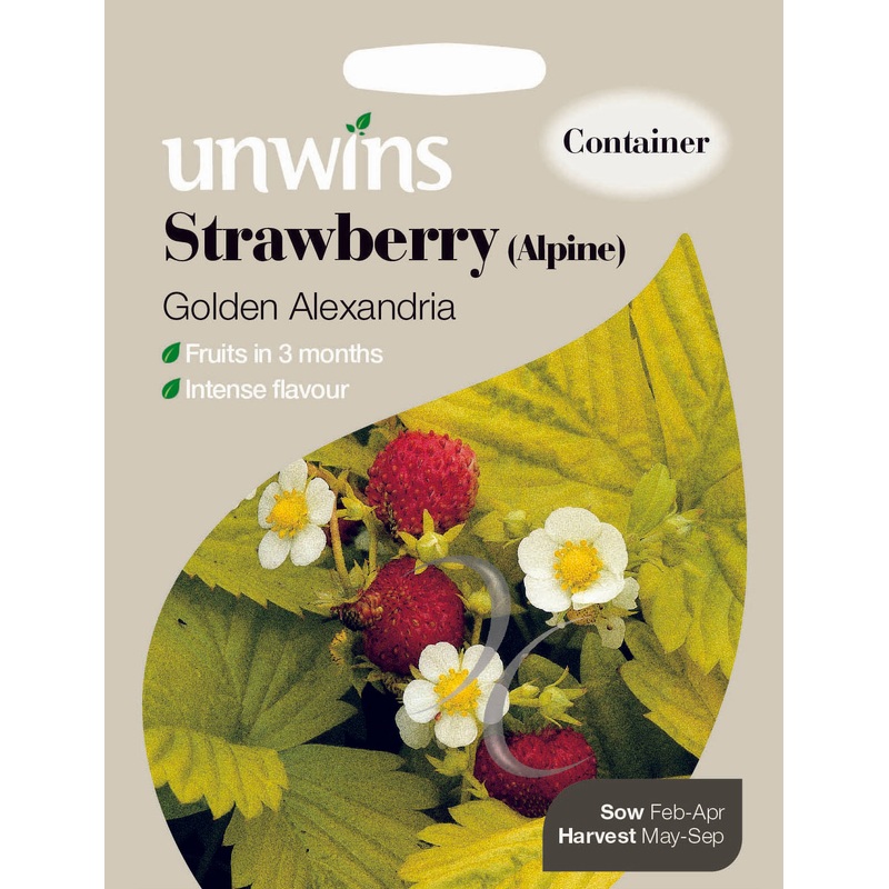 Strawberry (Alpine) Golden Alexandria