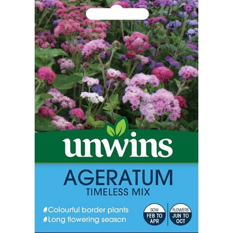 Ageratum Timeless Mix