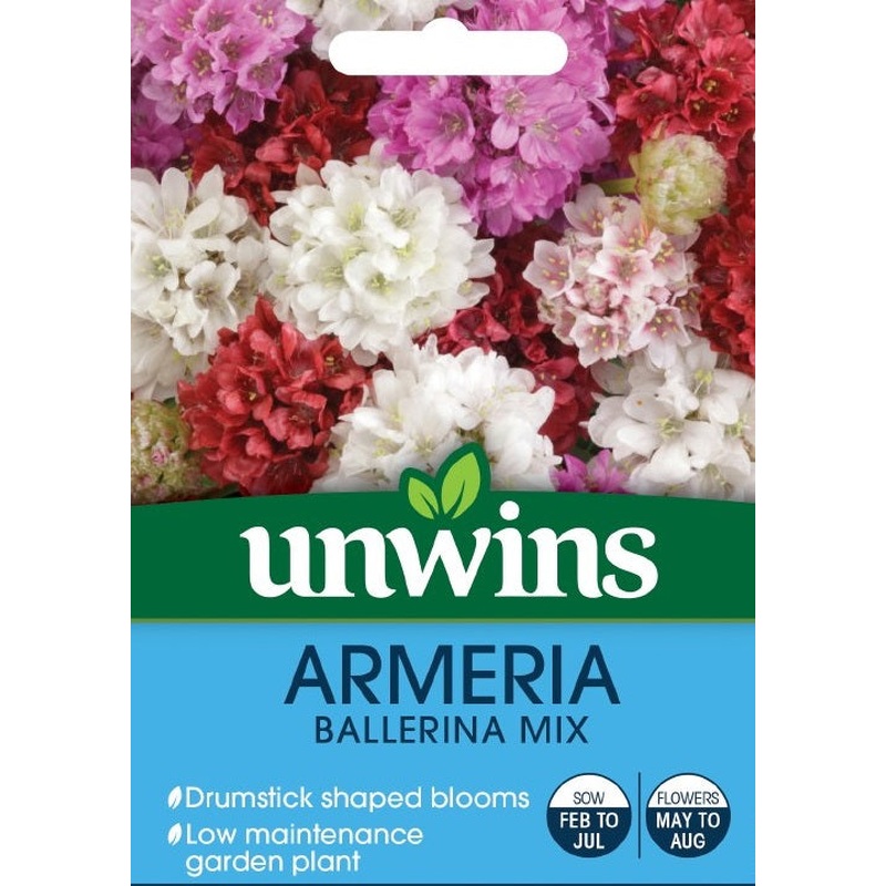 Armeria Ballerina Mix