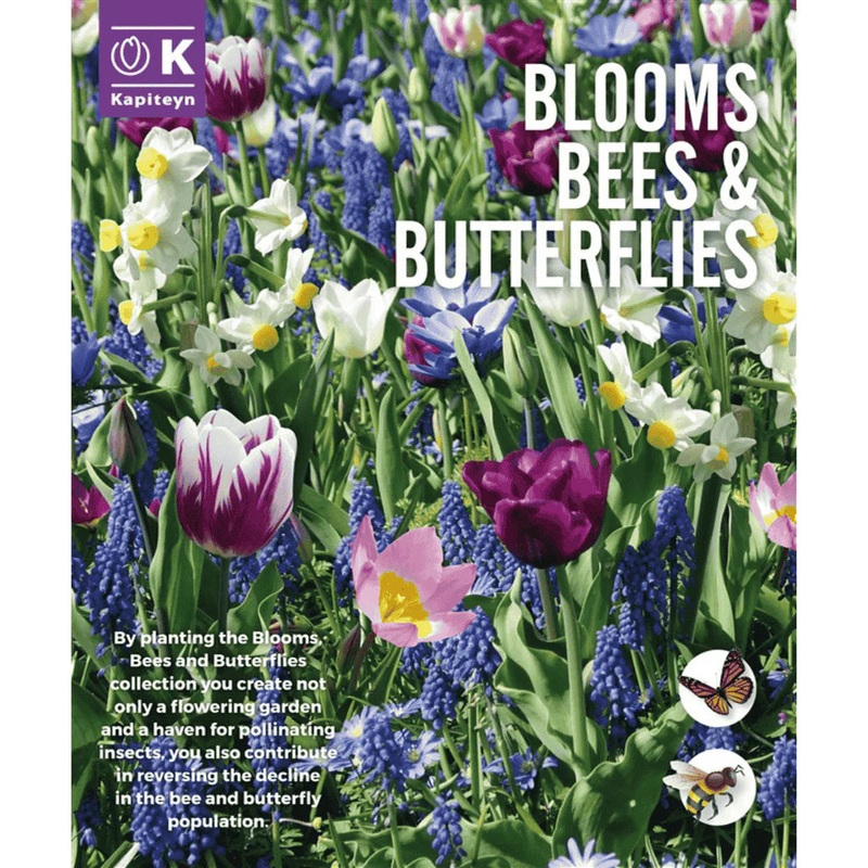 BLOOMS, BEES & BUTTERFLIES  BLUE SHADES x 30