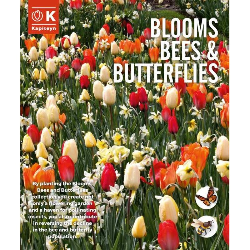 BLOOMS, BEES & BUTTERFLIES  SUNSHINE SHADES x 15