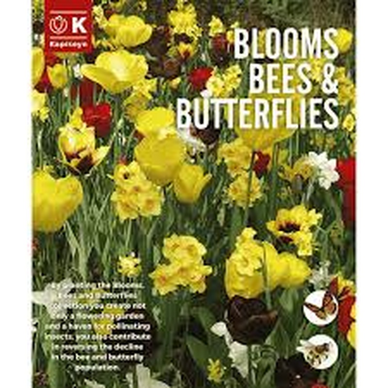 BLOOMS, BEES & BUTTERFLIES  YELLOW AND MAROON SHADES x 15