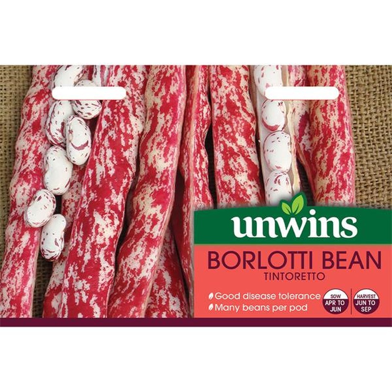 Borlotti Bean Tintoretto