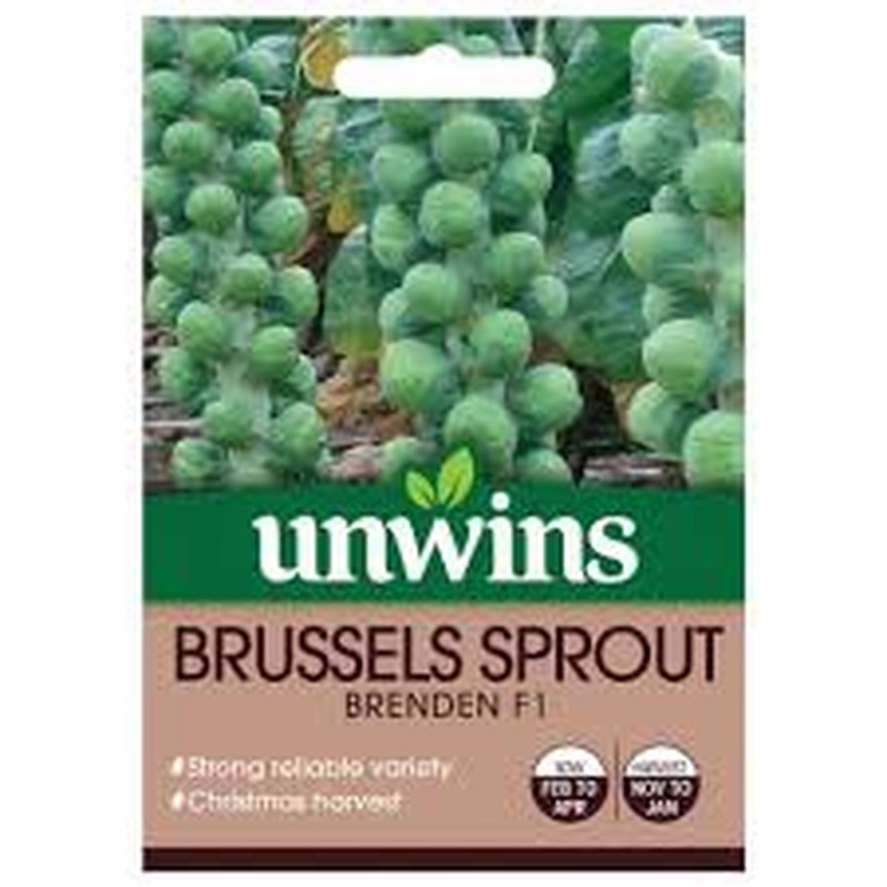 Brussels Sprout Brenden F1