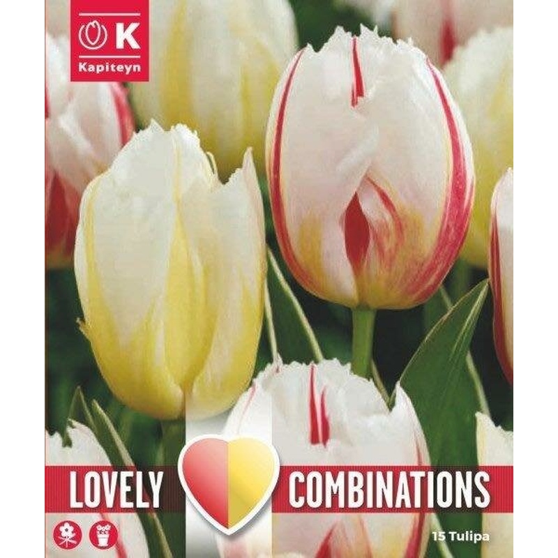 COMBI TUL DUO TRIUMPH HAPPY RED&YELLOW x 15