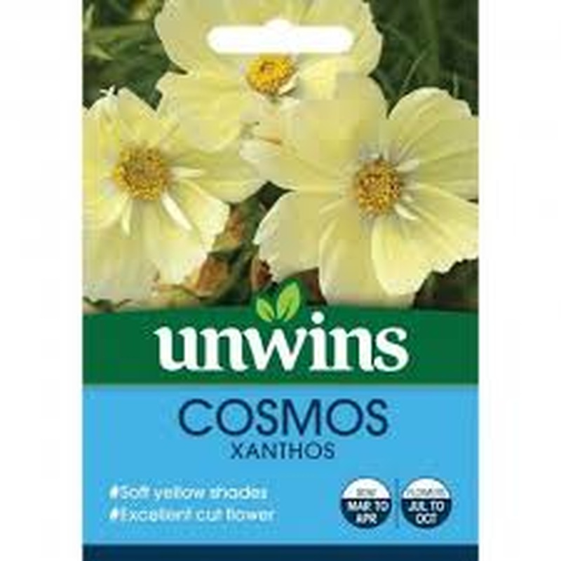 Cosmos Xanthos