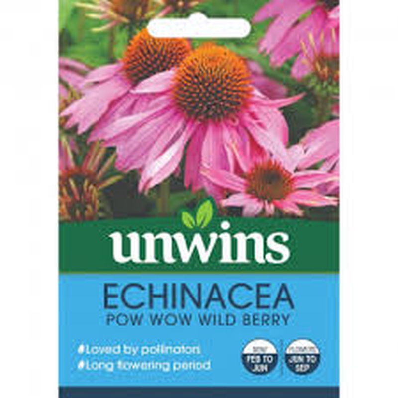 Echinacea Pow Wow Wild Berry