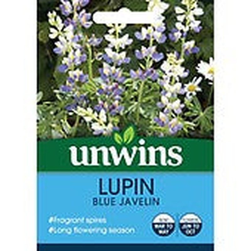 Lupin Blue Javelin