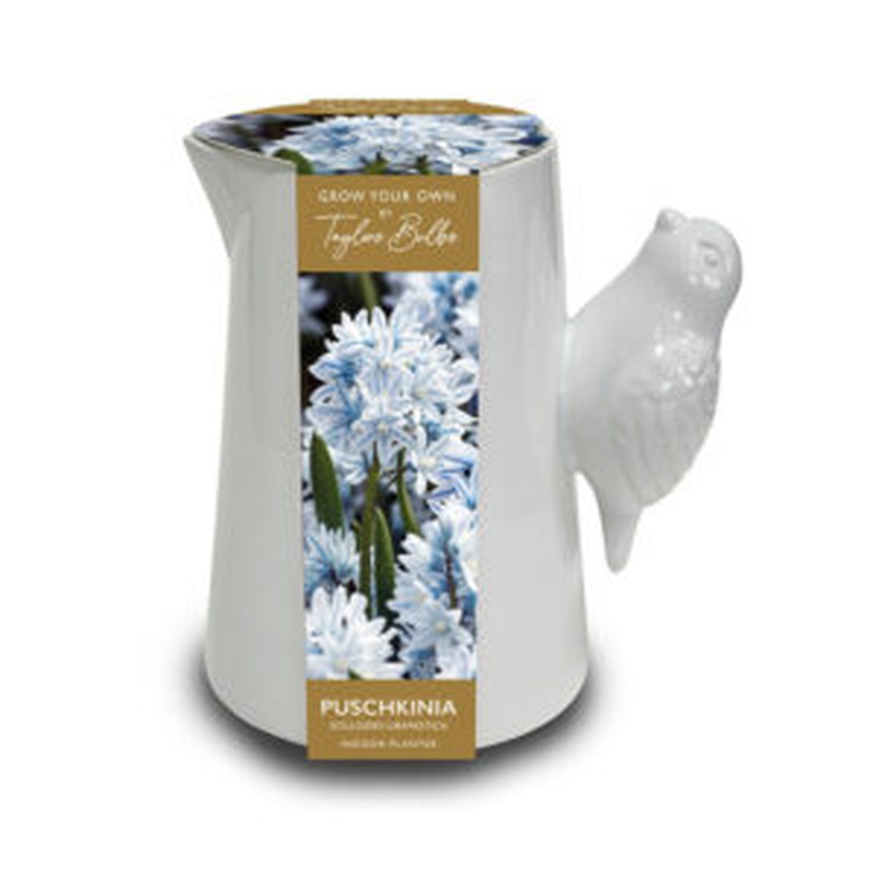 LUXURY BIRD HANDLE JUG 5