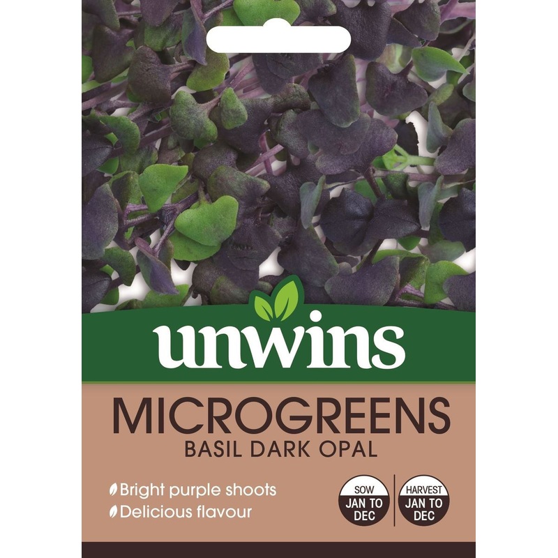 MicroGreens Basil Dark Opal