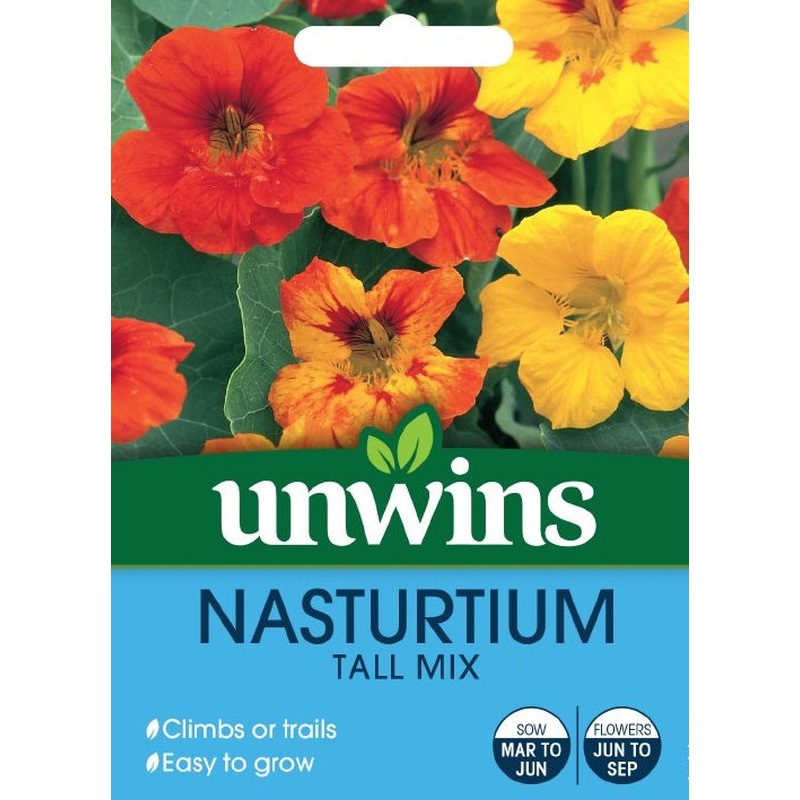 Nasturtium Tall Mix