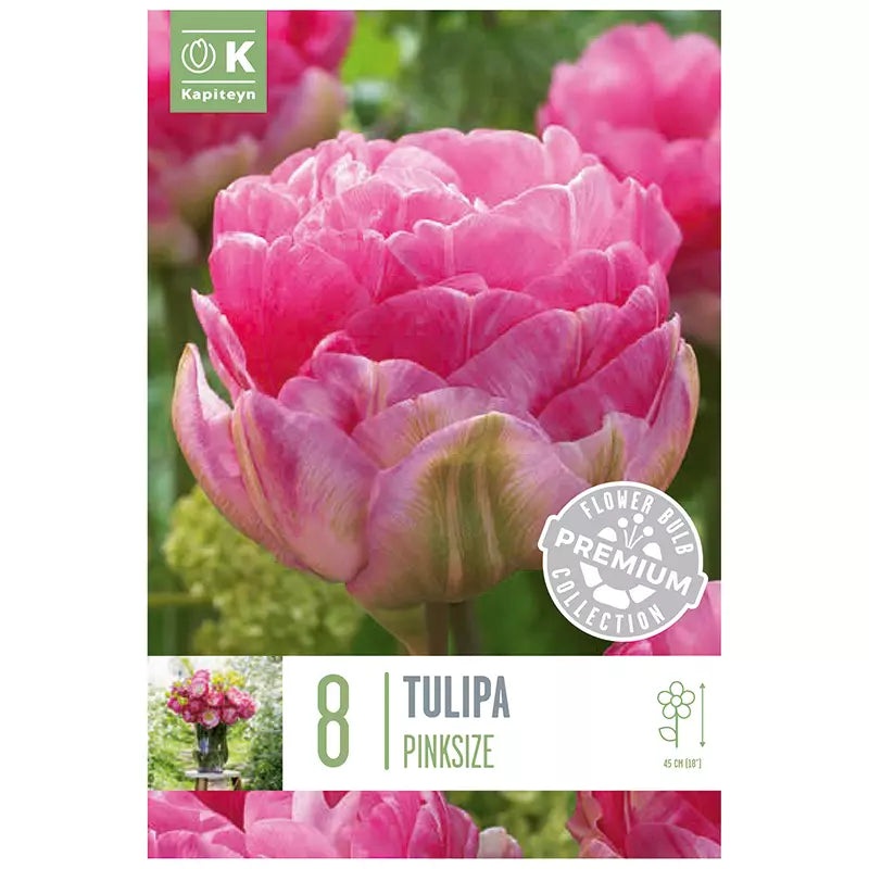 PREM TULIP PINK SIZE X 8