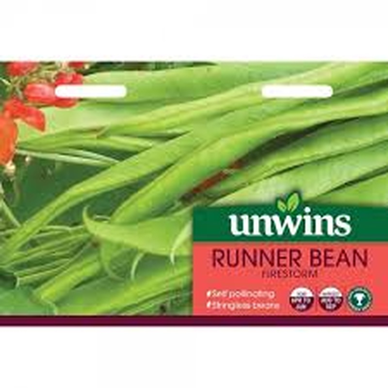 Runner Bean Firestorm