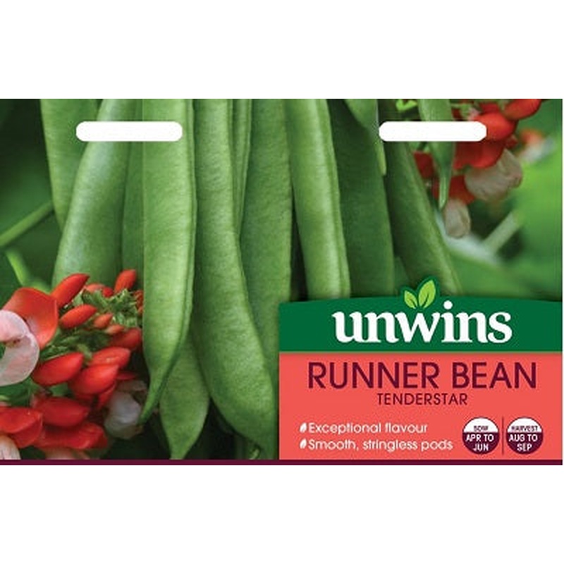 Runner Bean Tenderstar