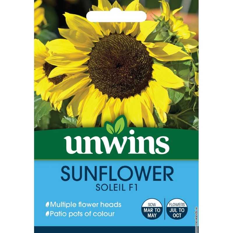 Sunflower Soleil F1