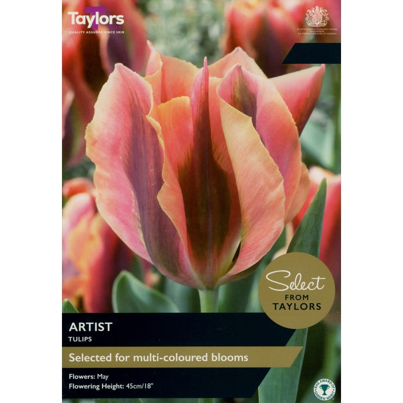 TULIP ARTIST 7