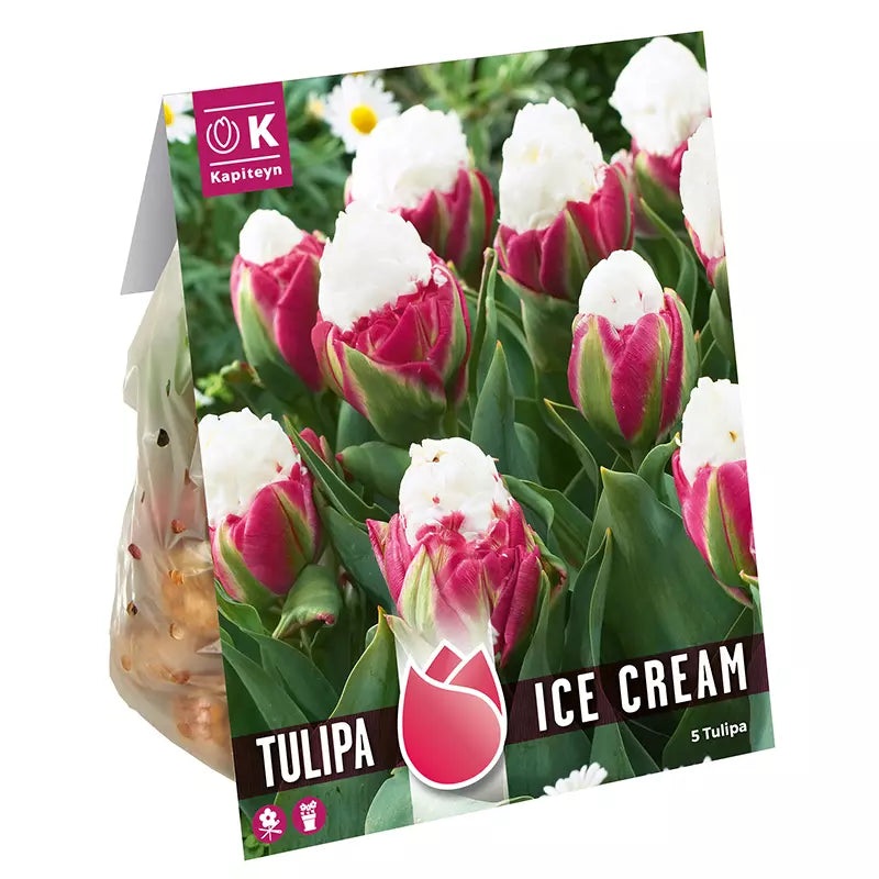 TULIPA ICE CREAM x 8