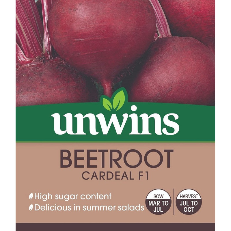 Beetroot (Round) Cardeal F1