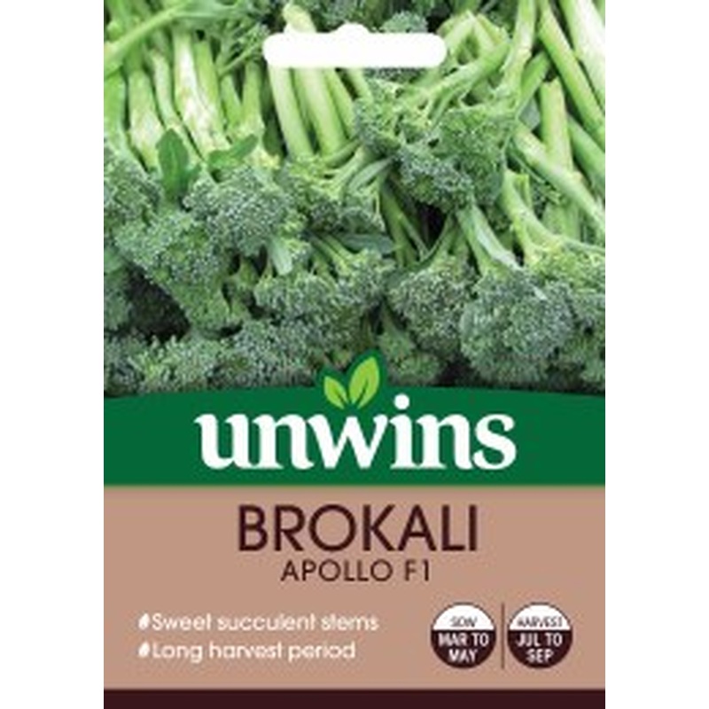 Brokali Apollo
