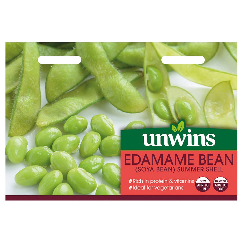 Edamame Bean Summer Shell - Soya  Bean