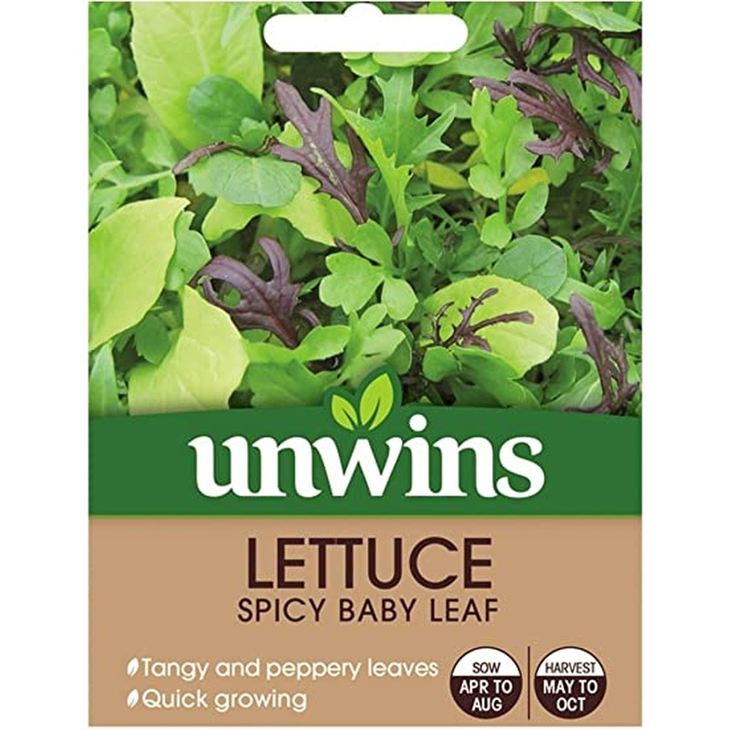 Lettuce (Leaves) Spicy Baby Leaf