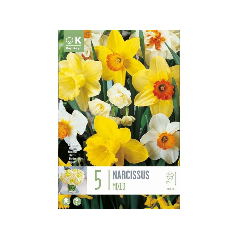 NAR FRAGRANT MIXED X 5