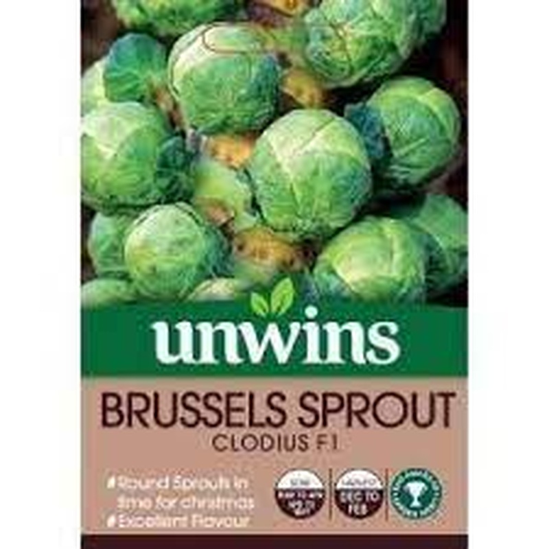 Brussels Sprouts Clodius F1