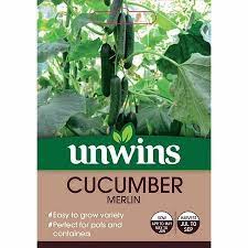 Cucumber Merlin
