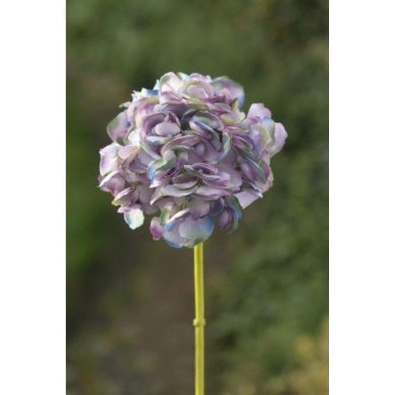 Hydrangea Mauve Short Stem