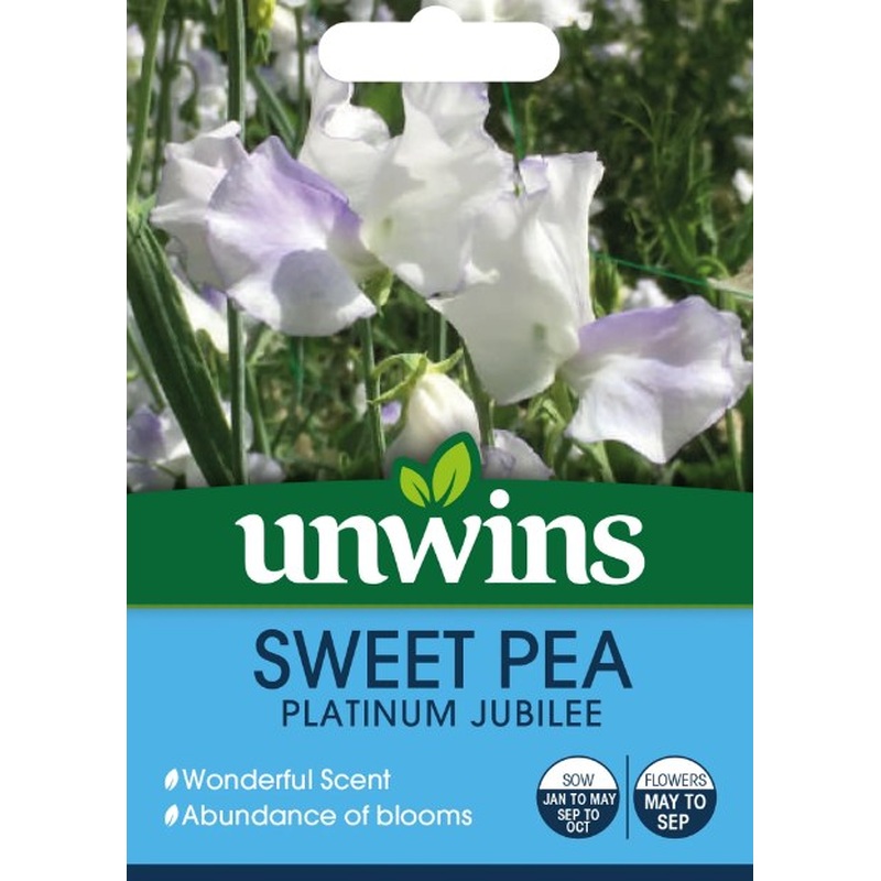 Sweet Pea Platinum Jubilee