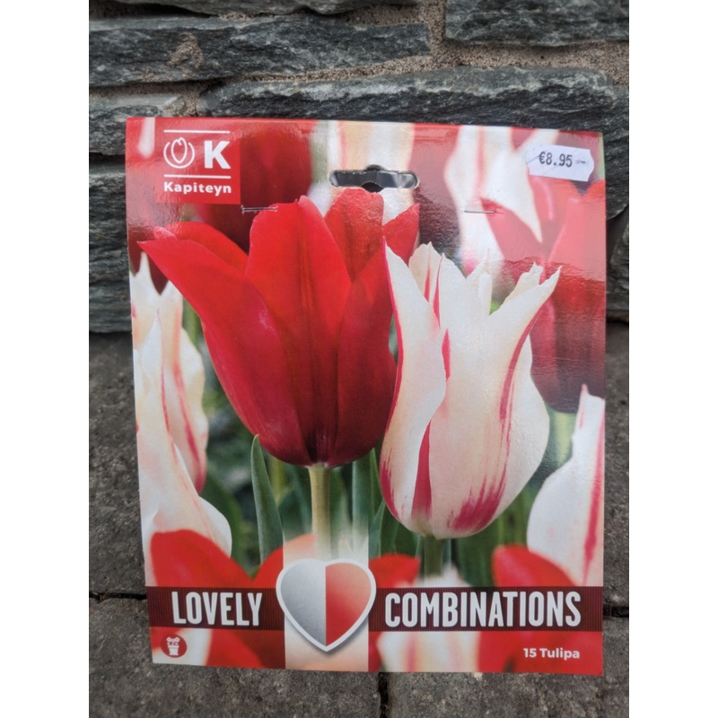 COMBI TULIPA RED & WHITE x 15