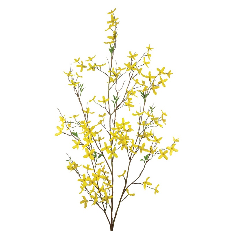 Forsythia Large x117 fls -120